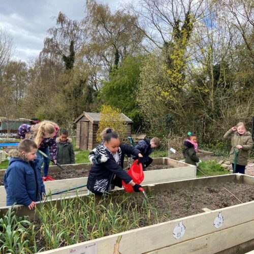 children gardening at a fuel 4 fun holiday camp