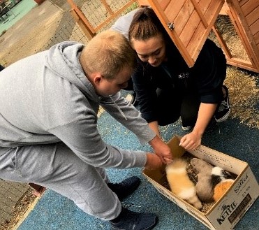 Active tameside staff member assisting someone iwth special needs rehouse small animals